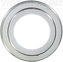 Seal Ring, valve stem